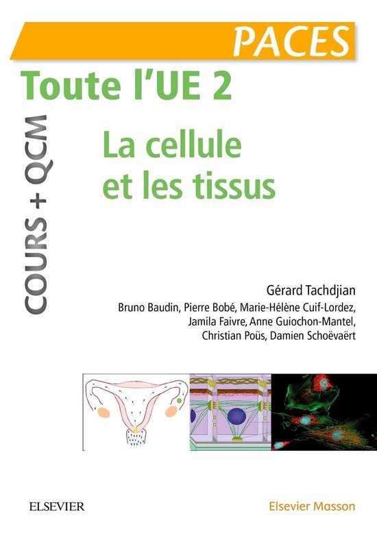 Toute L'ue 2 - Cours + Qcm - cover
