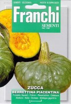 Franchi zaden  - Pompoen - Berrettina Piacentina groengrijze pompoen 4 gr