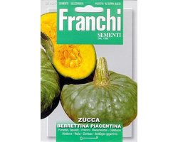 Franchi zaden  - Pompoen - Berrettina Piacentina groengrijze pompoen 4 gr