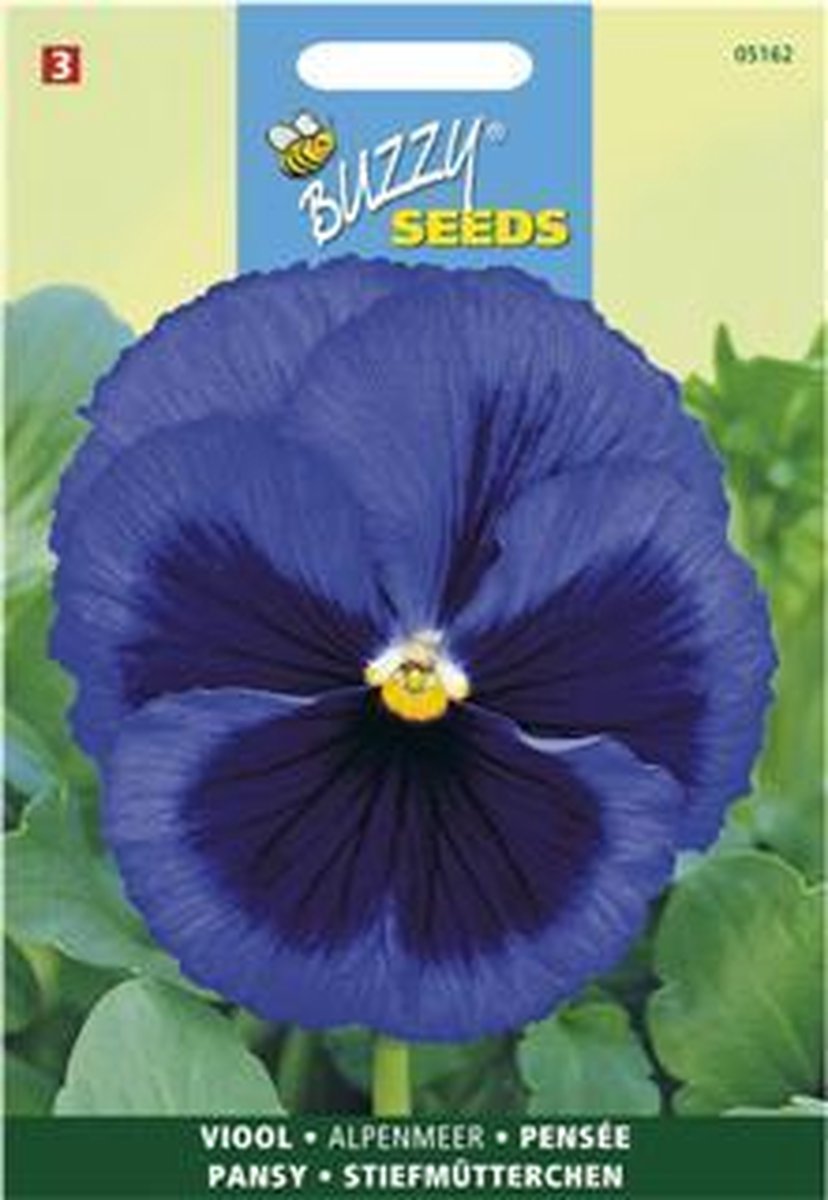Viola wittrockiana Alpenmeer