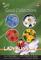 Buzzy® Seeds Collection Ladybugs Mix