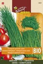 Buzzy® Seeds Bio Bieslook (Skal 14725 NL-BIO-01)