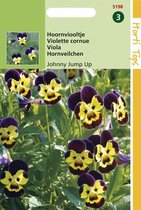 Hortitops Zaden - Viola Cornuta Johnny Jump Up (Helen Mount)