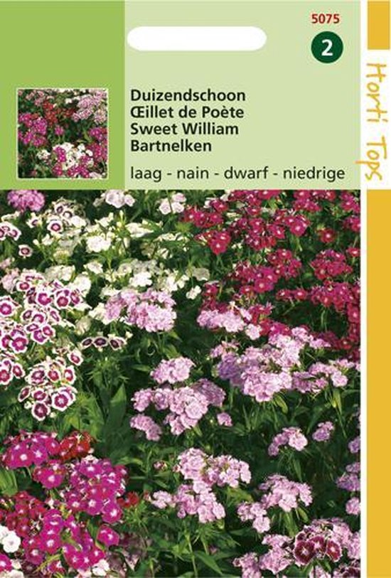 Hortitops Zaden - Dianthus Barb. Nanus Compactus Dubbel Gemengd