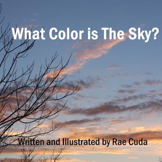 What Color Is the Sky? 9781497320451 Rae Cuda Boeken