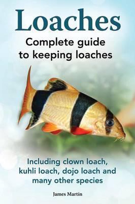 Loaches