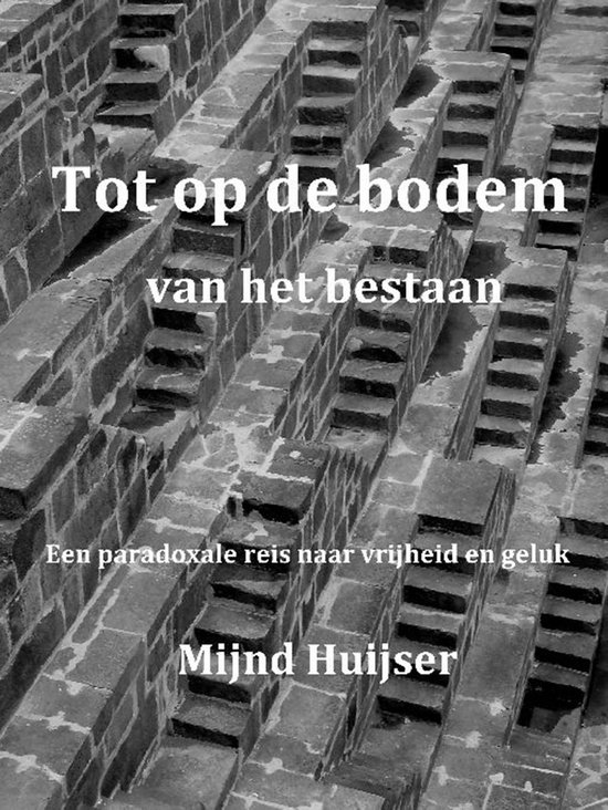 Cover van het boek 'Tot op de bodem van het bestaan'
