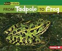 Start to Finish, Second- From Tadpole to Frog
