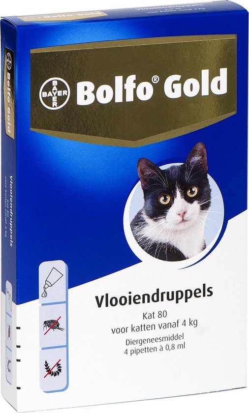 Vallen tieners Paradox Bayer Bolfo Gold 80 Anti vlooienmiddel - Kat - > 4 kg - 4 pipetten | bol.com