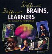 Different Brains, Different Learners