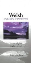 Welsh - English / English - Welsh Dictionary And