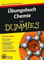 Ubungsbuch Chemie Fur Dummies
