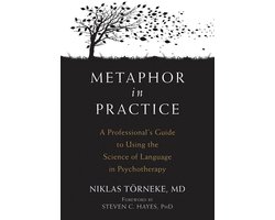 Metaphor in Practice