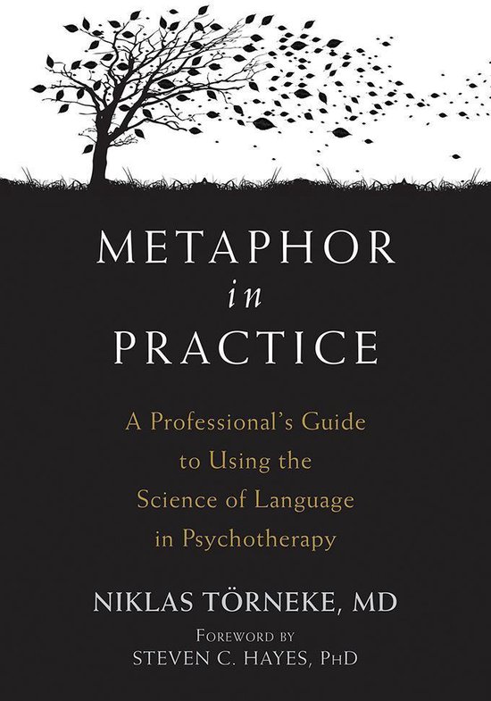 Metaphor in Practice - cover