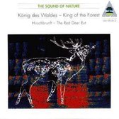 King Of The Forest: The Red Deer Rut