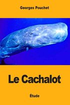 Le Cachalot