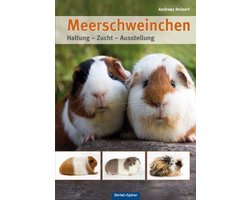 Meerschweinchen
