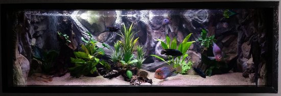 Budget Terrarium | 120 x 50 x 60CM Budget Terrarium | 120 x 50 x 60CM