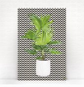 HIP ORGNL Sunset Zigzag - 40x60cm - wanddecoratie - plant - natuur