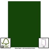 Benza Hobbykarton om zelf wenskaarten te maken 220 Gram - A4 - Kerst groen - 20 stuks