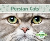 Cats - Persian Cats