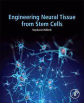 Engineering Neural Tissue from Stem Cells