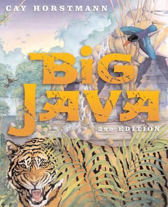 Big Java | 9780471697039 | Cay S. Horstmann | Boeken | bol.com