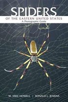 Spiders of the Eastern United States