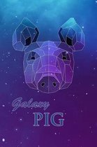 Galaxy Pig