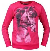 Horka shirt met lange mouwen Fancy