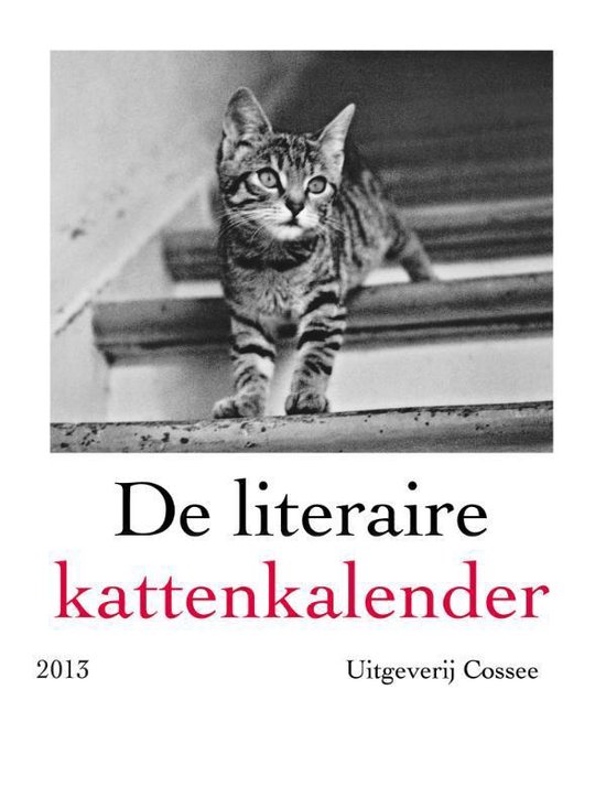 De literaire kattenkalender / 2013, nvt 9789059363519 Boeken