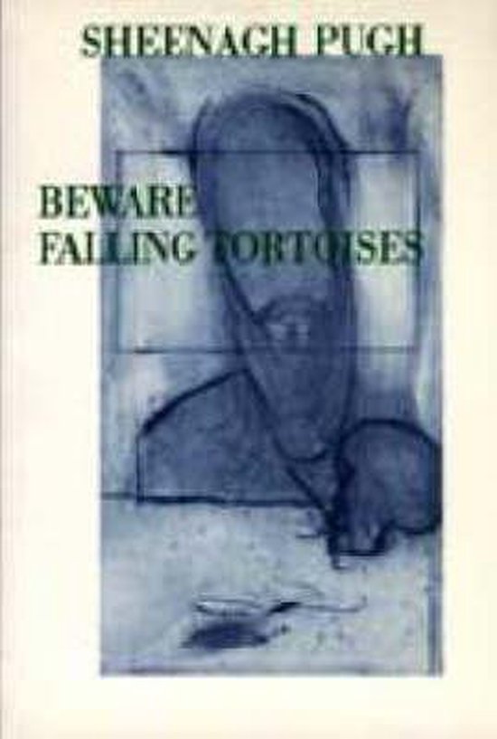 Foto: Beware falling tortoises