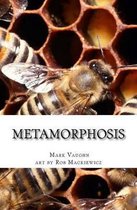 Metamorphosis