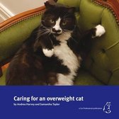Caring for an Overweight Cat