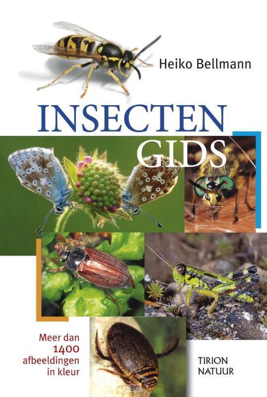 Boekomslag 'Insectengids' met diverse insecten: wesp, vlinders, kever, sprinkhaan en waterkever. Meer dan 1400 afbeeldingen in kleur.