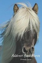 Address Book Horses