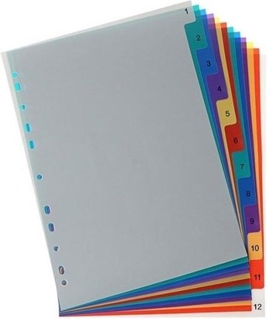 2x Gekleurde plastic tabbladen A4 12 stuks - Kantoor artikelen en  benodigdheden | bol.com