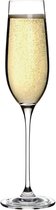 Olympia Campana Champagne Glas 26cl ( Set van 6 )