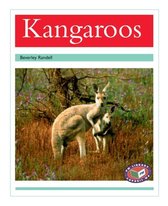 Kangaroos