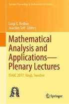 Mathematical Analysis and Applications-Plenary Lectures