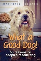 What a Good Dog!
