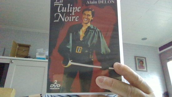 LA TULIPE NOIRE