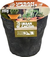 URBAN CACTUS van Baltus in grijze pot (met ophangkoord)