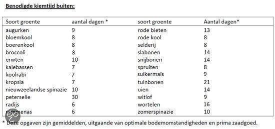 Hortitops Zaden - Spinazie Amsterdams Scherp Zaad 15 Gram