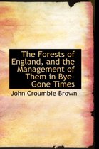 The Forests of England, and the Management of Them in Bye-Gone Times