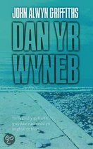 Dan yr Wyneb