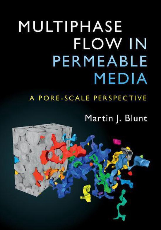Multiphase Flow in Permeable Media - cover