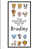 Bradley Sketchbook