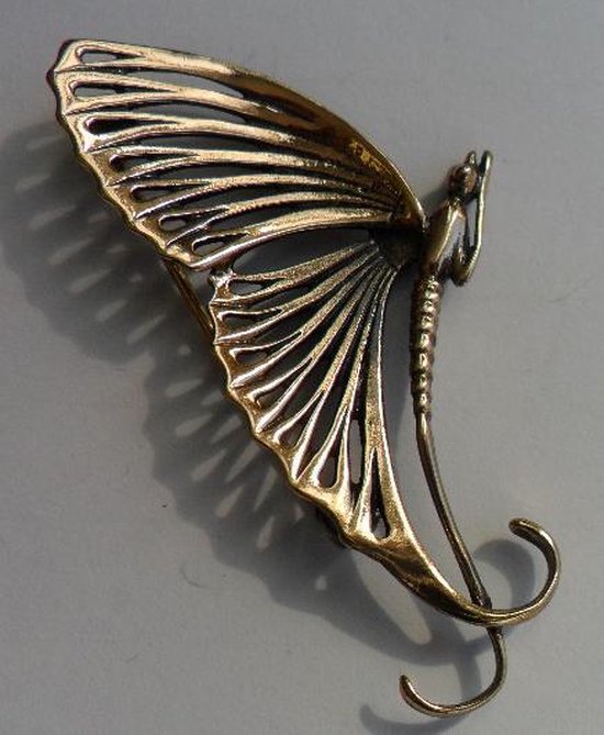 Een Broche de vorm van een Vlinder | bol.com