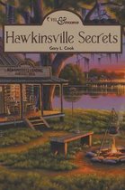 Hawkinsville Secrets